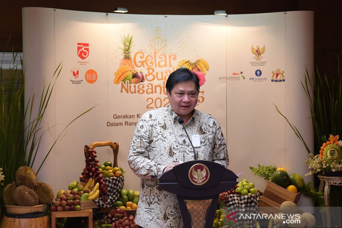 Indonesian economy in better shape than other countries: Airlangga