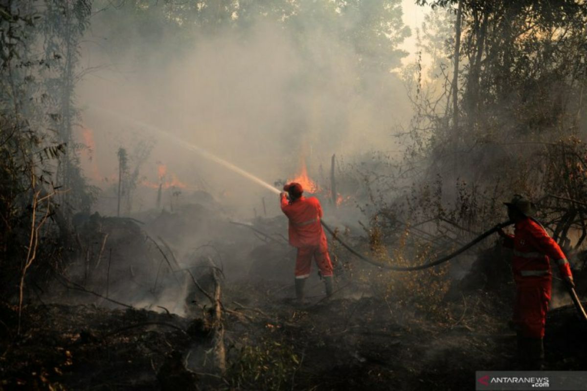 Kaltara waspadai ancaman Karhutla