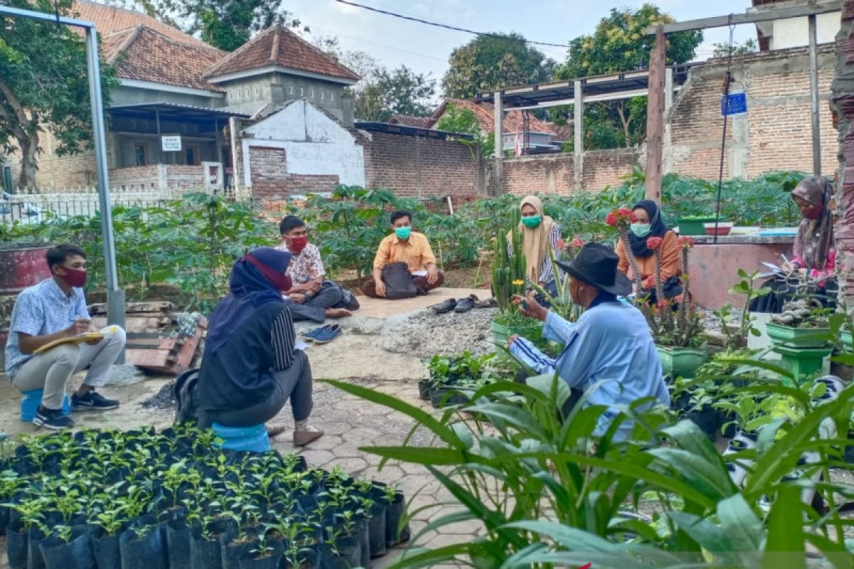 Bimbingan dan ujian skripsi di kebun itu sangat mengasyikkan