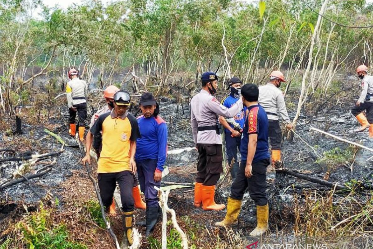 Kebakaran lahan di Aceh Barat meluas, begini penjelasannya