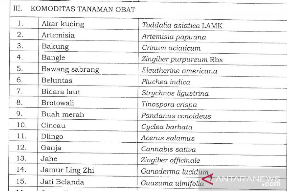 Menteri Pertanian tetapkan ganja dalam daftar komoditas tanaman obat binaan