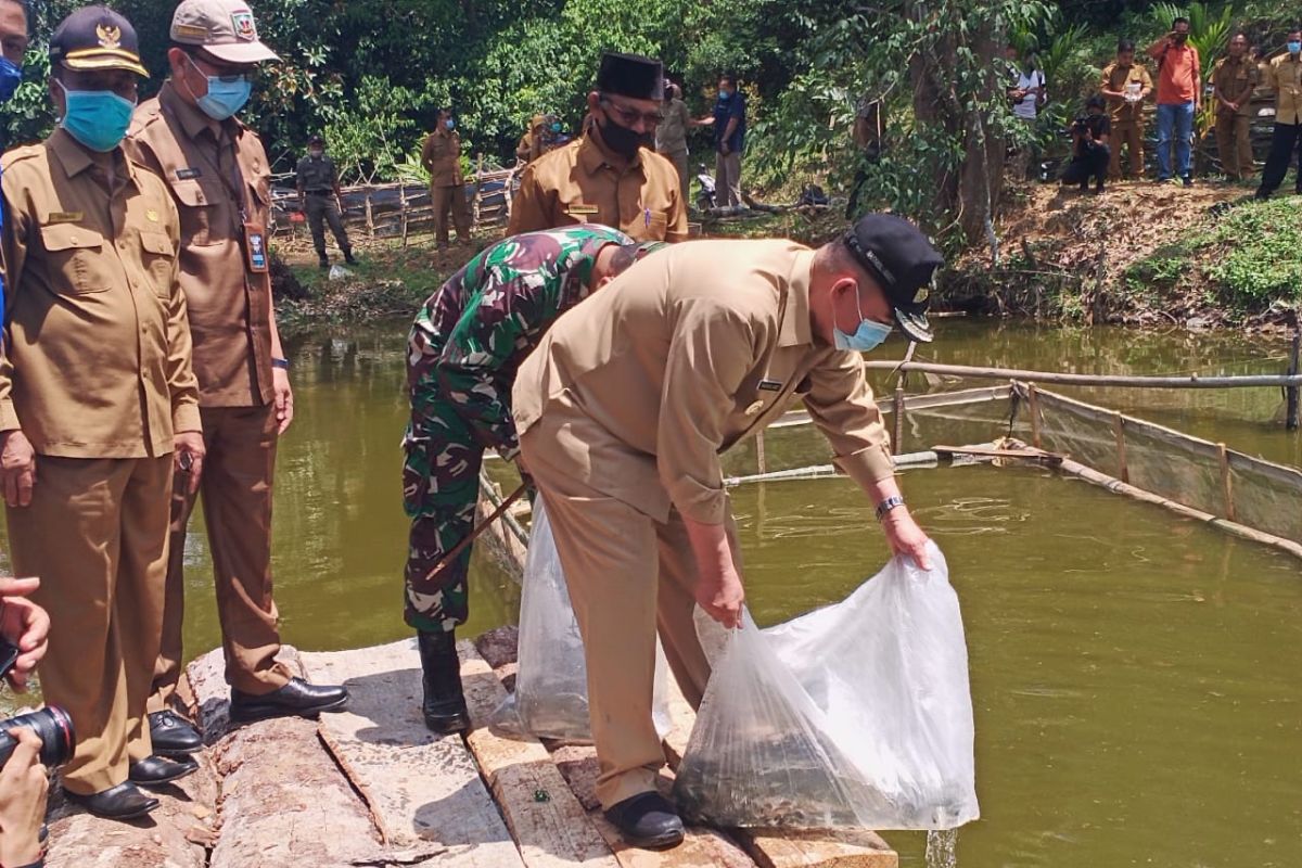 Wagub tebar bibit, produktif usaha ikan air tawar sejahterakan petani