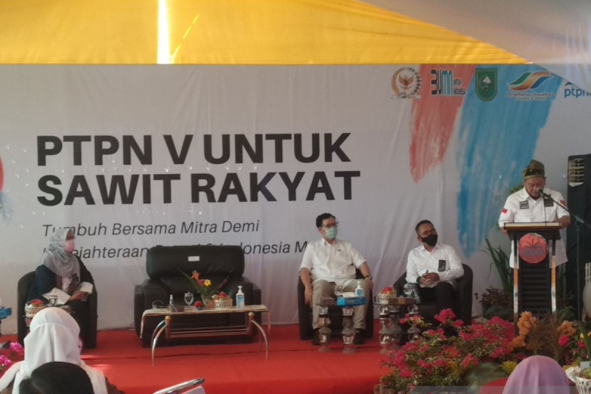 Senator dukung percepatan peremajaan sawit rakyat PTPN V