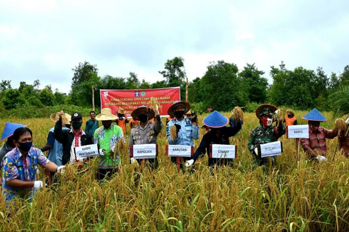 Rutan Kapuas garap lahan tidur menjadi produktif di bidang pertanian