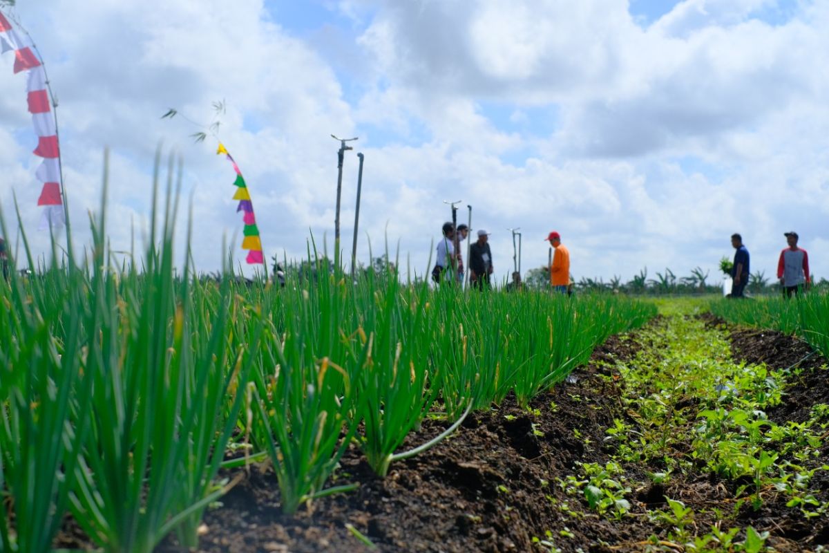 Pekanbaru alokasi Rp2 miliar percepat pemulihan ekonomi pangan