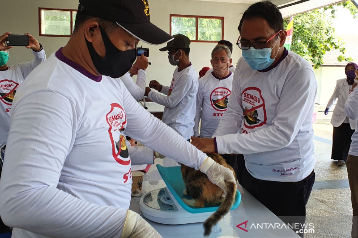 Jateng sediakan 8.000 vaksin antisipasi rabies