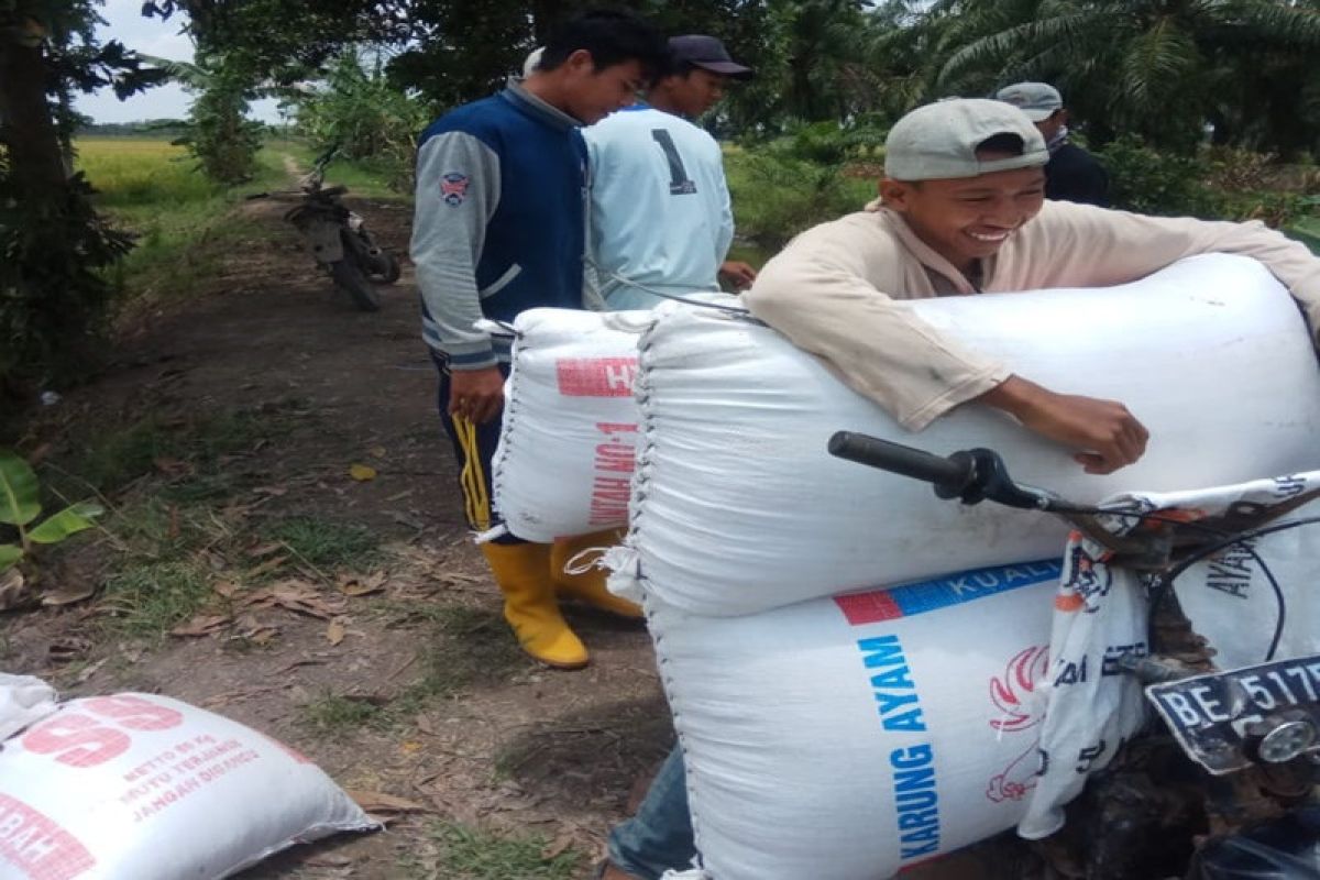 Harga gabah Mesuji capai Rp4.500/kg