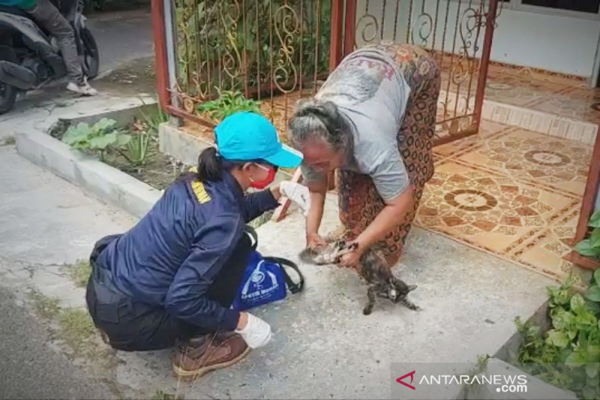 Ratusan ekor hewan peliharaan warga Kapuas divaksin rabies