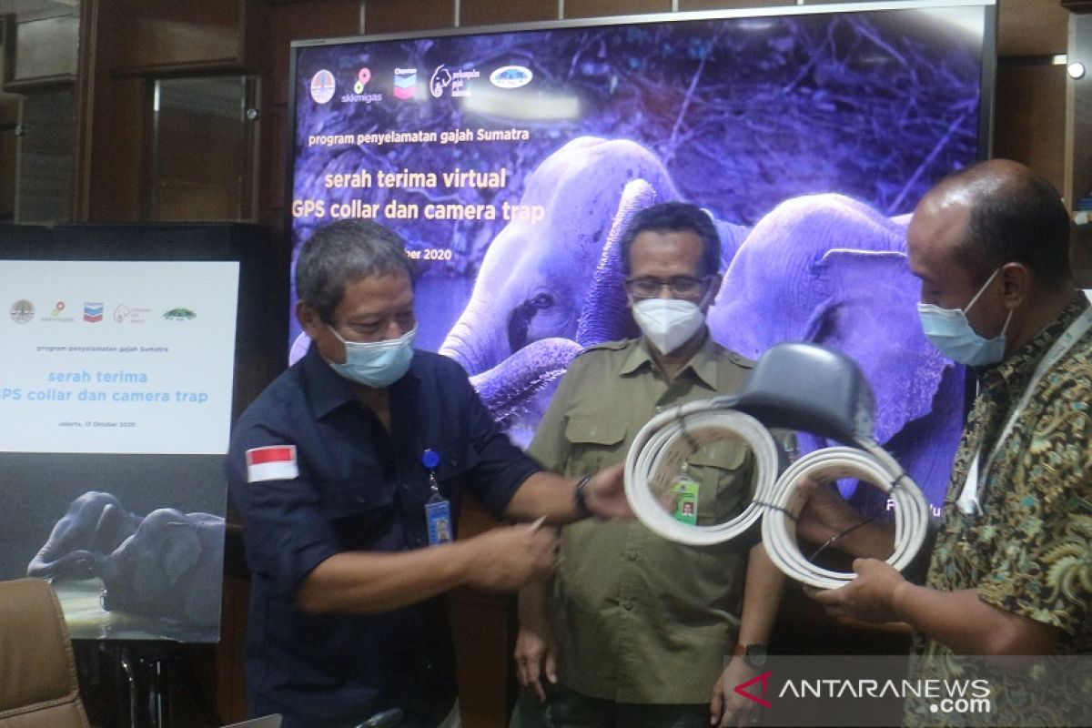 Manfaatkan satelit untuk lindungi Gajah Sumatra, PT CPI serahkan GPS Collar dan Camera Trap