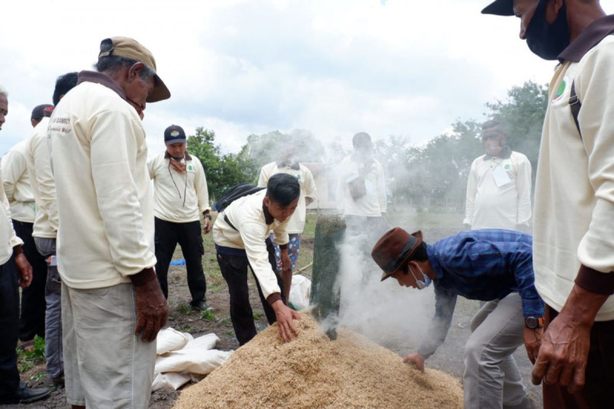 Latih petani lahan gambut, BRG dukung ketahanan pangan Merauke