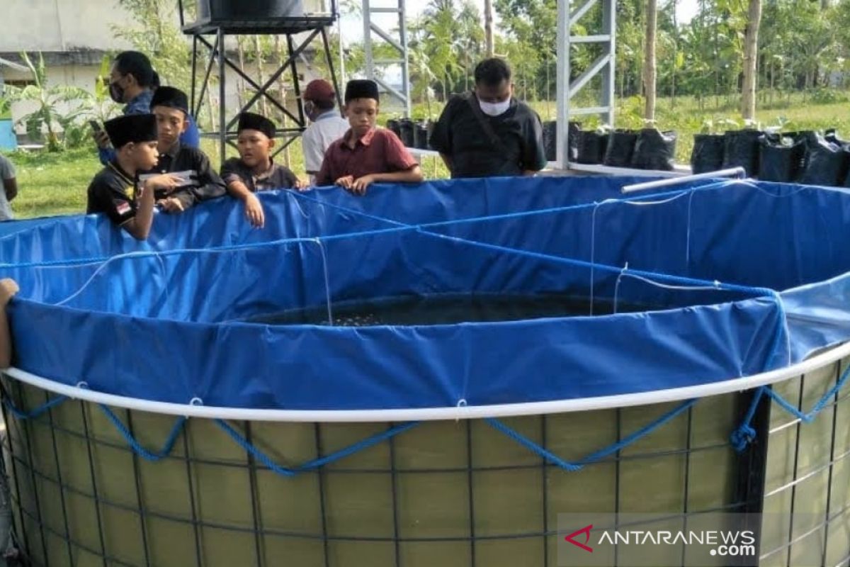 NTB mengembangkan budidaya ikan dengan sistem bioflok