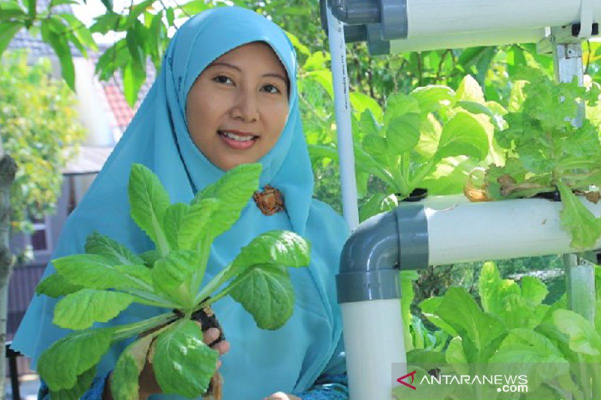 "Innovative urban farming",  terobosan ketahanan pangan dunia