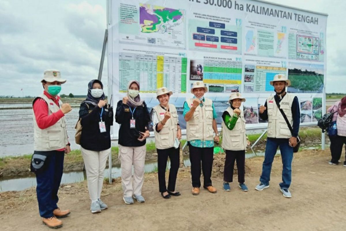 BPTPH gencarkan gerakan pengendalian hama dan penyakit di Kalteng