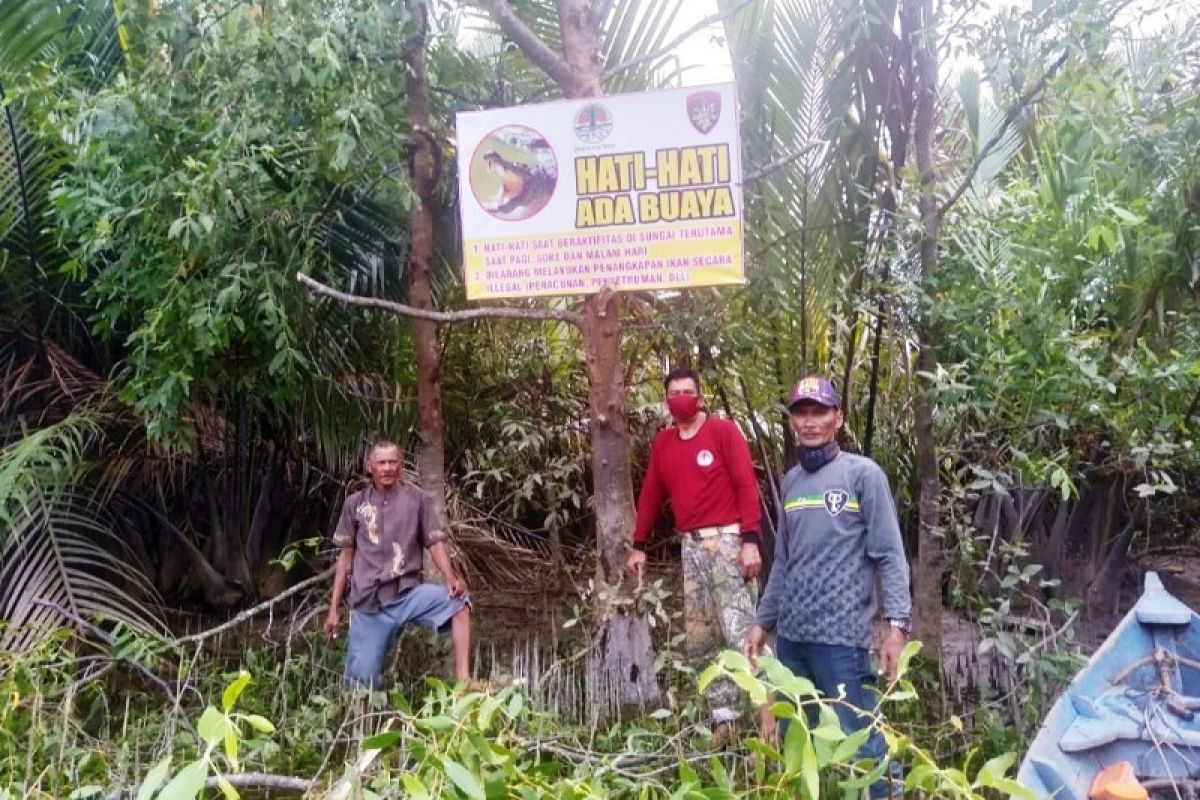 BKSDA Sampit pasang papan peringatan di lokasi serangan buaya