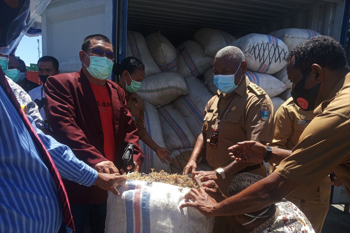 Kerajaan Inggris mendukung Papua-Papua Barat kembangkan ekonomi hijau