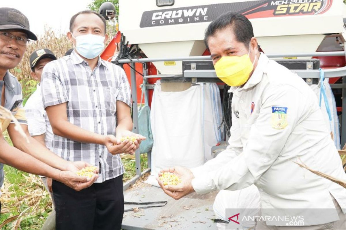 Pemkab Keerom apresiasi panen perdana jagung kering tembus pasar Jatim