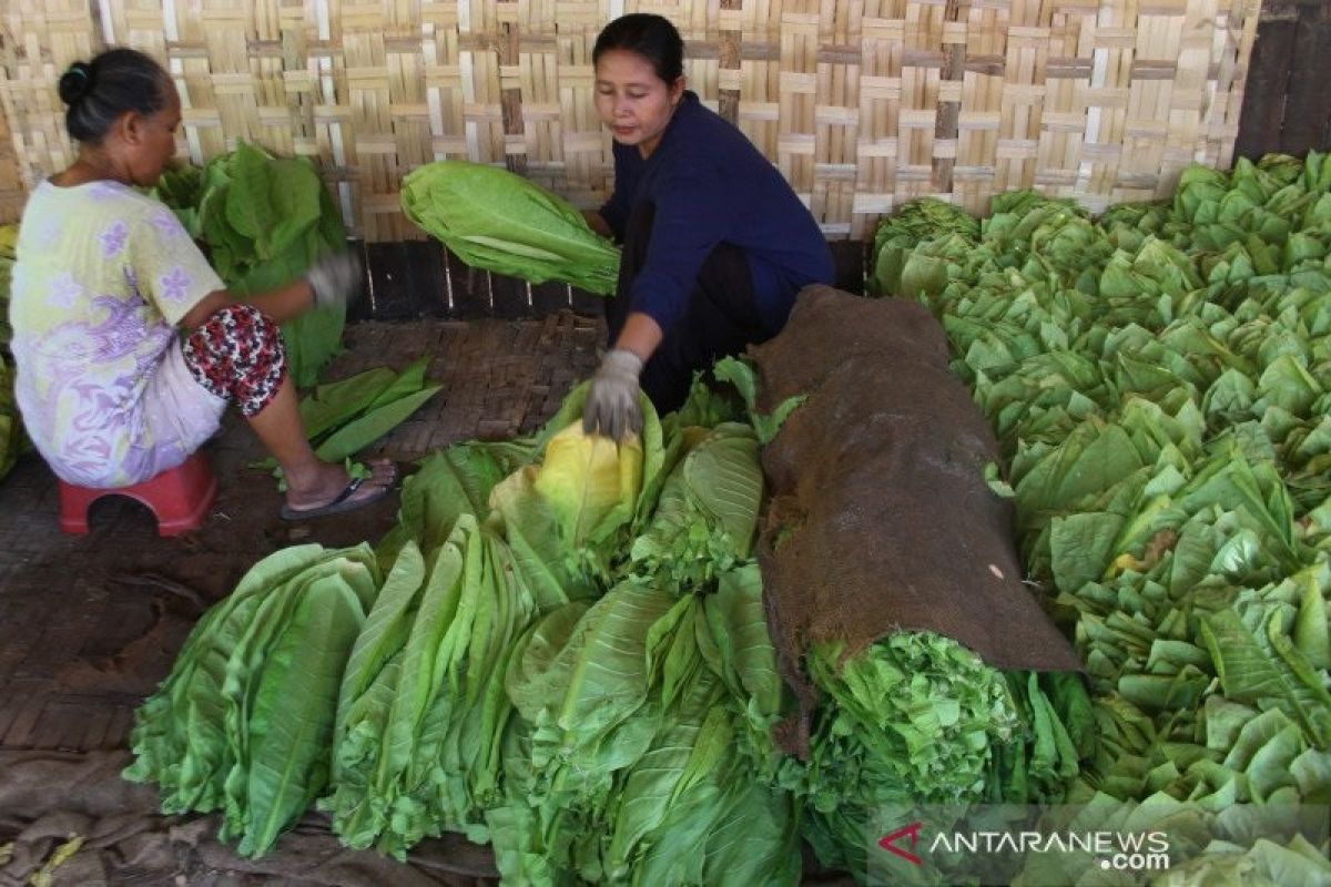 Pengusaha khawatirkan kenaikan tarif cukai akan picu gelombang PHK