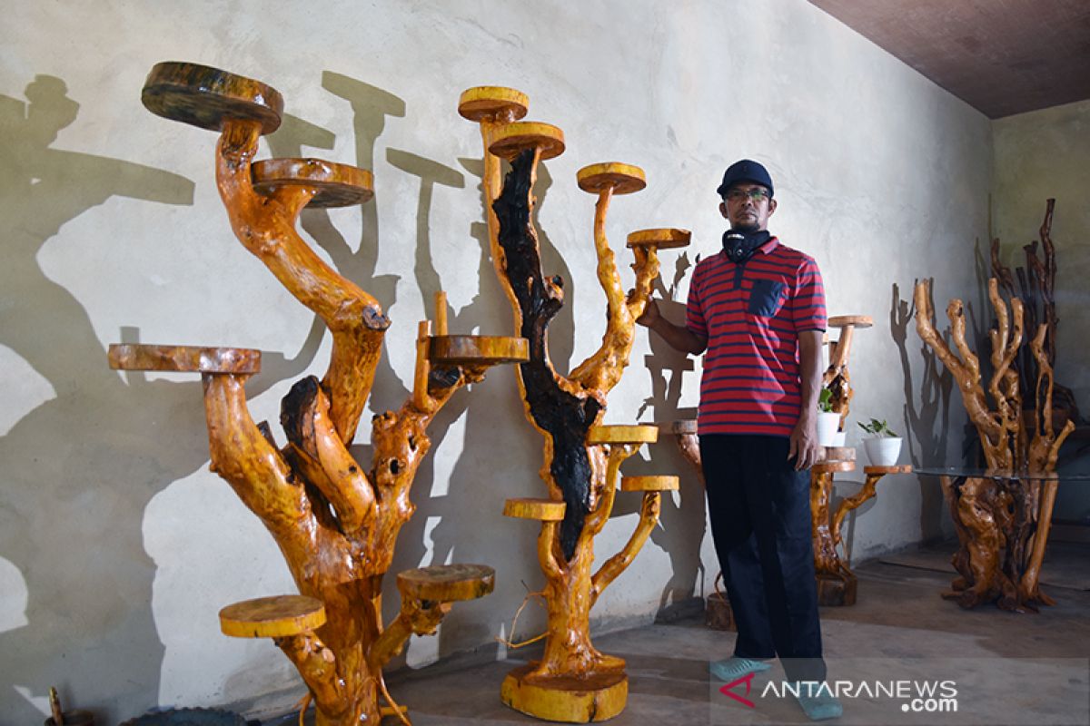 Meraup untung dari akar mati kala pandemi