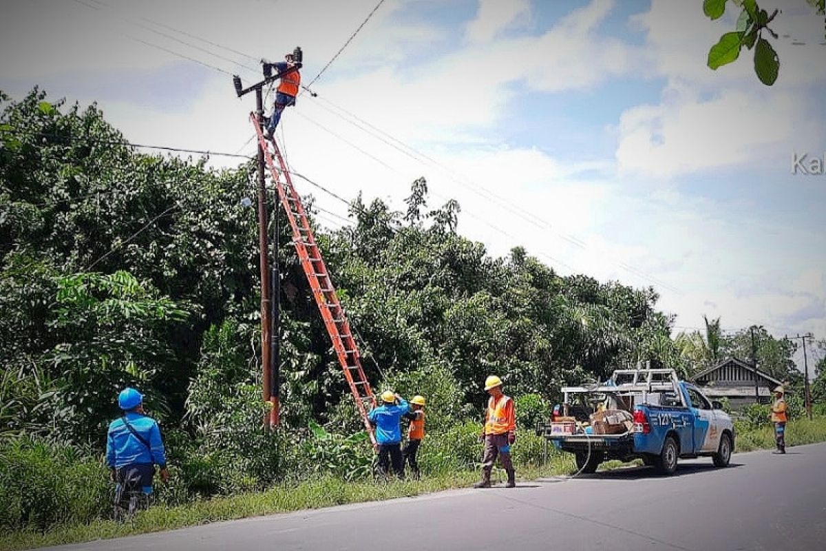 Cuaca ekstrem, dahan pohon ancam kelangsungan pasokan listrik