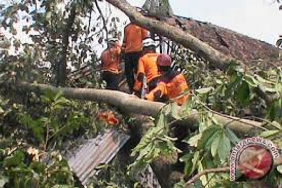 Puluhan rumah rusak akibat diterjang angin kencang di Gunung Kidul