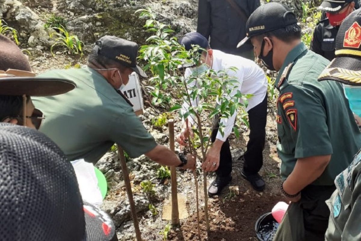 20 hektare lahan di Bukit Pandang Pati bakal dihijaukan