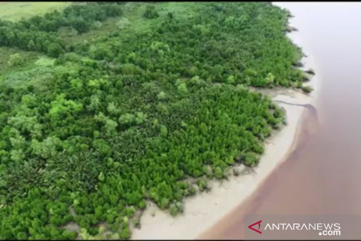 Miliki pasir putih, Pantai Beting Sungai Apit bakal dijadikan Alfedri wisata bahari