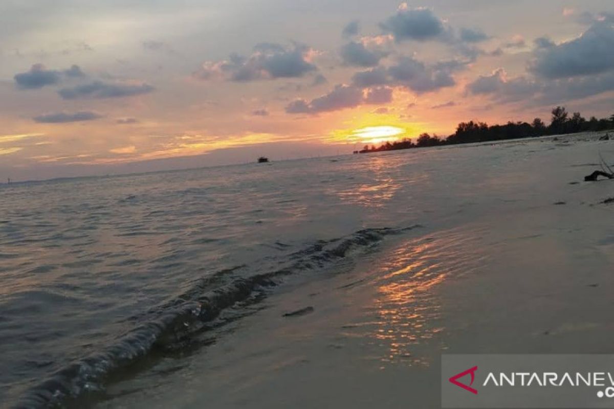 Menilik limpahan SDA perikanan di Laut Arafura jadi target investasi