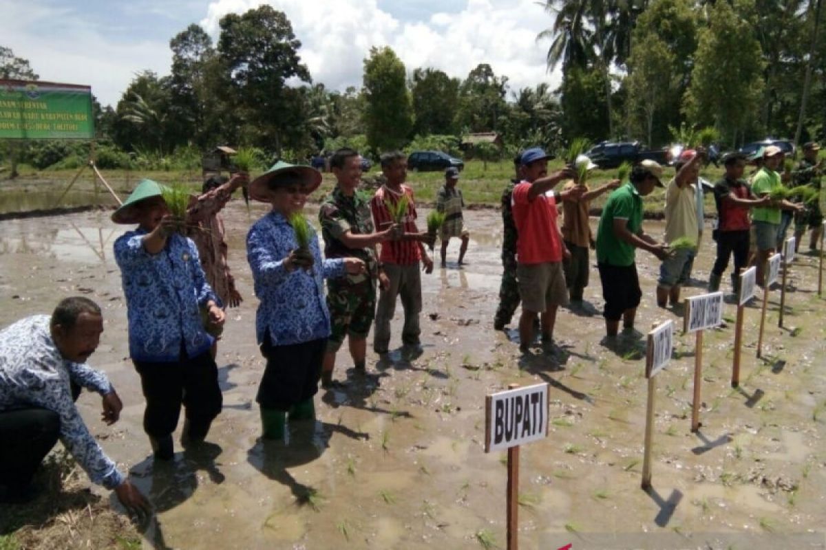 Pemkab Buol  gencar bangun sarana pertanian dukung petani olah lahan