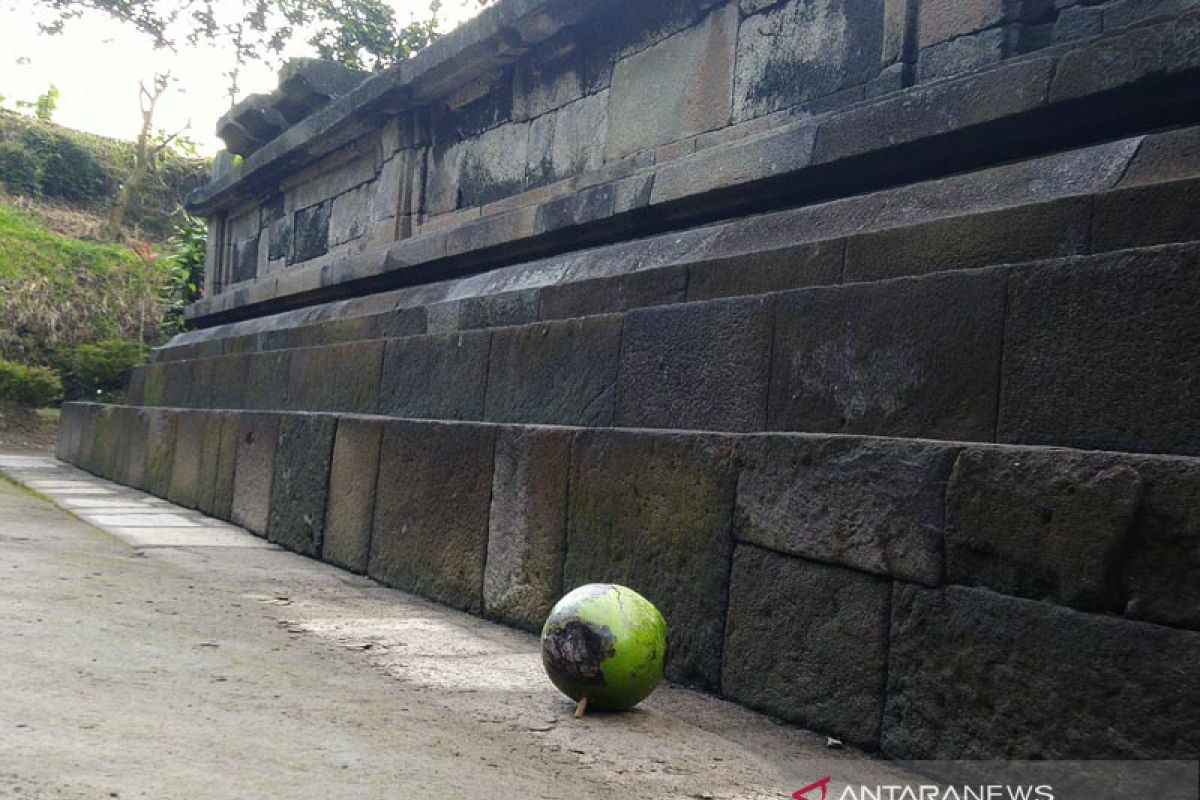 Ritus kepahitan di Candi Pendem Merapi