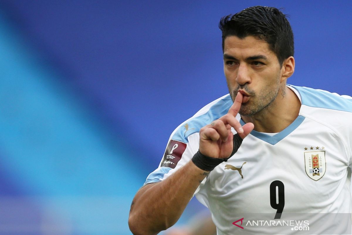 Suarez absen bela Uruguay vs Brasil karena positif COVID-19