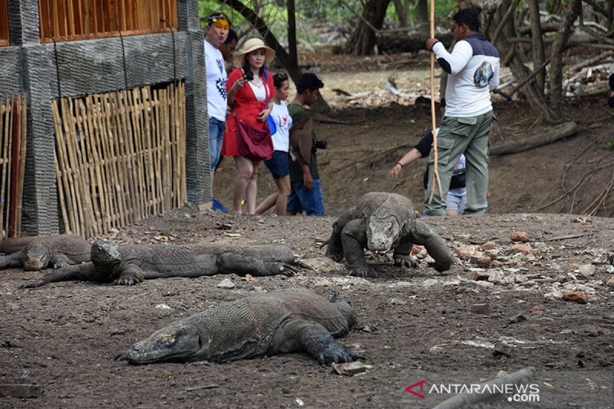 Pegiat wisata kembangkan atraksi di desa sekitar TN Komodo