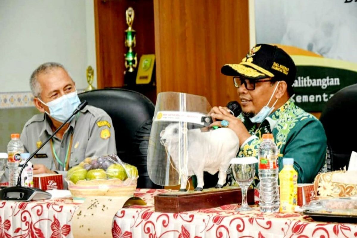 Pemprov Kalteng gali informasi pengembangan sapi potong Pasuruan