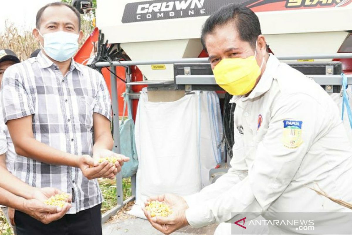 Pemkab Keerom:produksi jagung kering siap dikirim ke Blitar