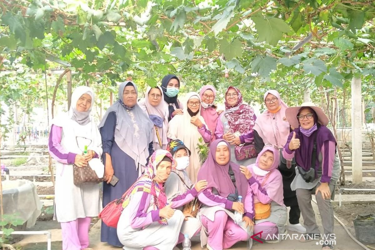 Wanita Tani Salo menimba ilmu di kebun anggur Bengkalis