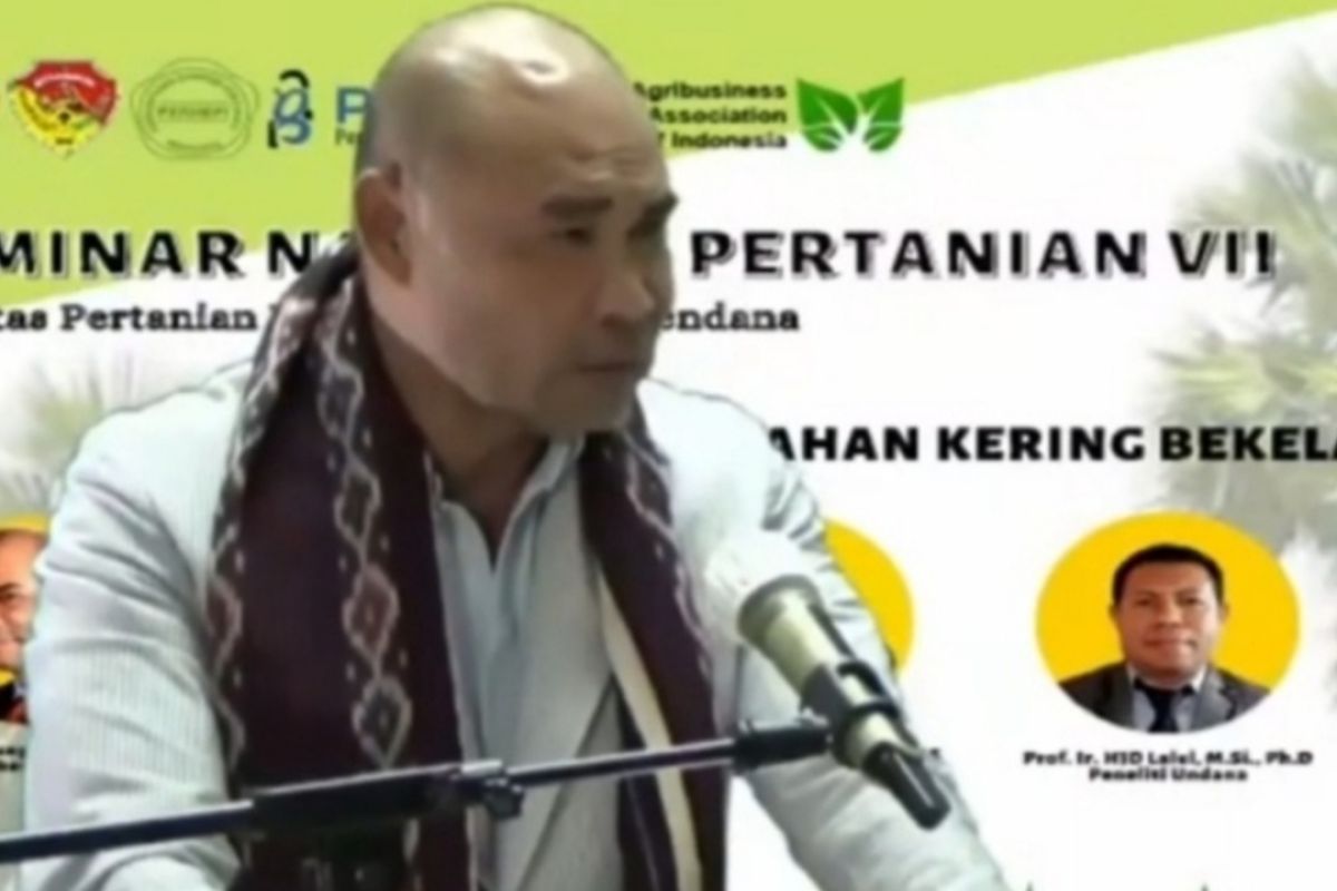 Tiap tahun NTT keluarkan Rp1,1 triliun untuk pengadaan pakan ternak