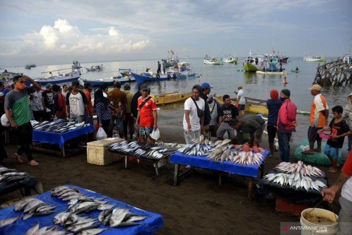 KKP:  Jumlah PNBP perikanan tangkap 2020 lampaui tahun sebelumnya