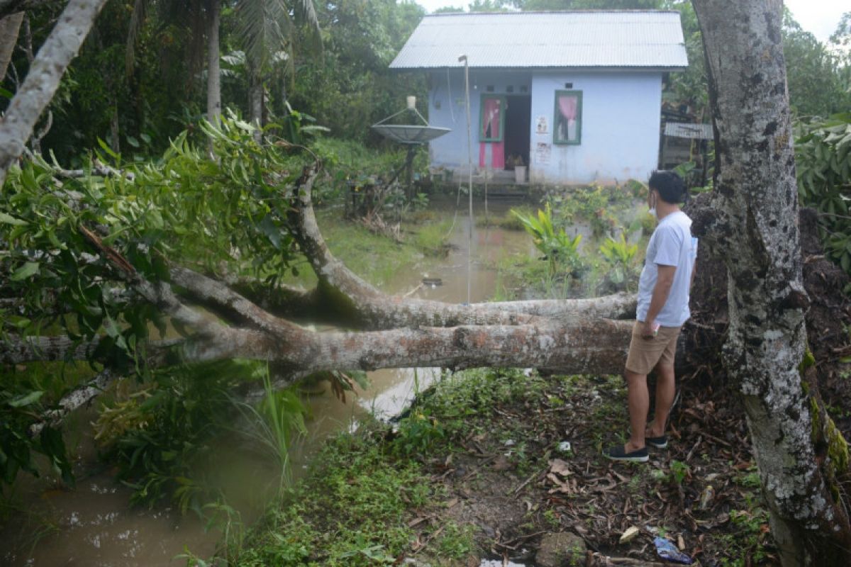 Foto-foto keganasan angin puting beliung kemarin di Bulungan