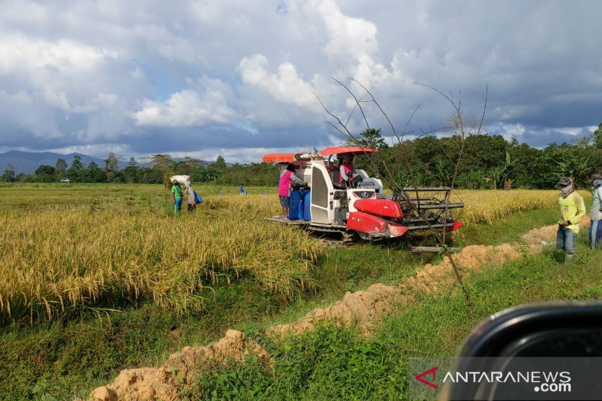 Ini Jurus Bulog Sultra menjaga ketahanan pangan di saat pandemi