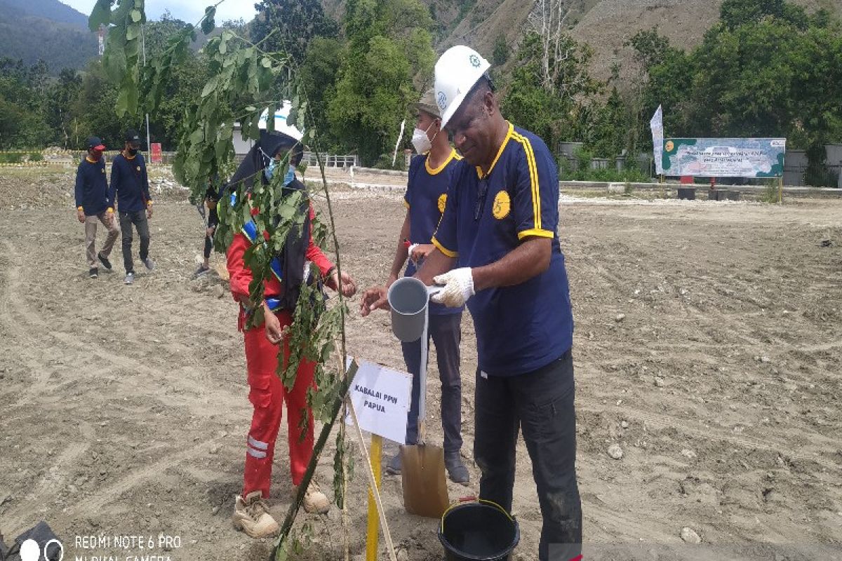 Kementerian PUPR hijaukan kawasan Stadion Lukas Enembe