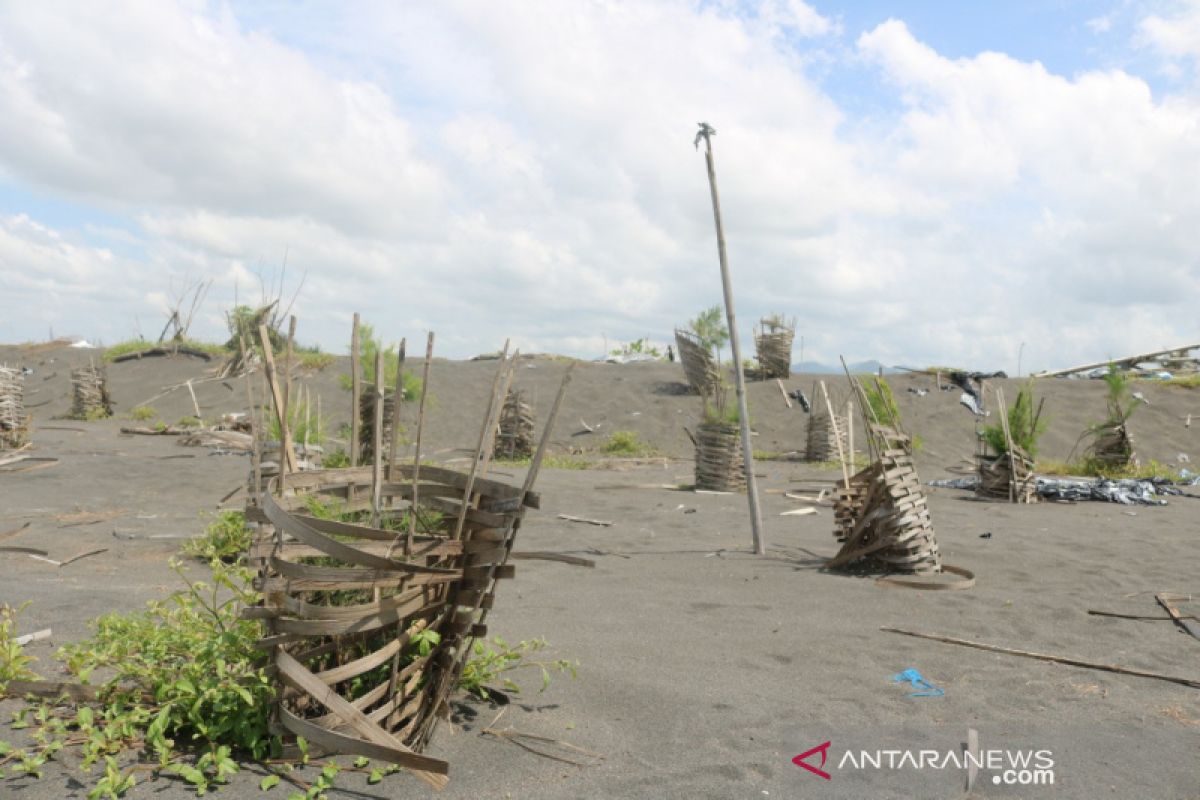 Kulon Progo menambah tenaga pemelihara sabuk hijau selatan YIA