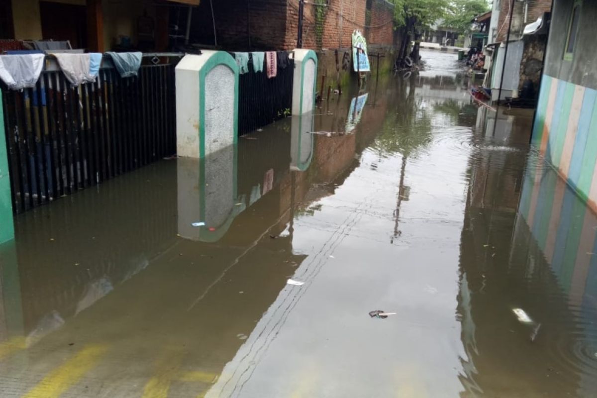 Jumlah rumah warga di Kudus yang tergenang banjir capai 167 unit