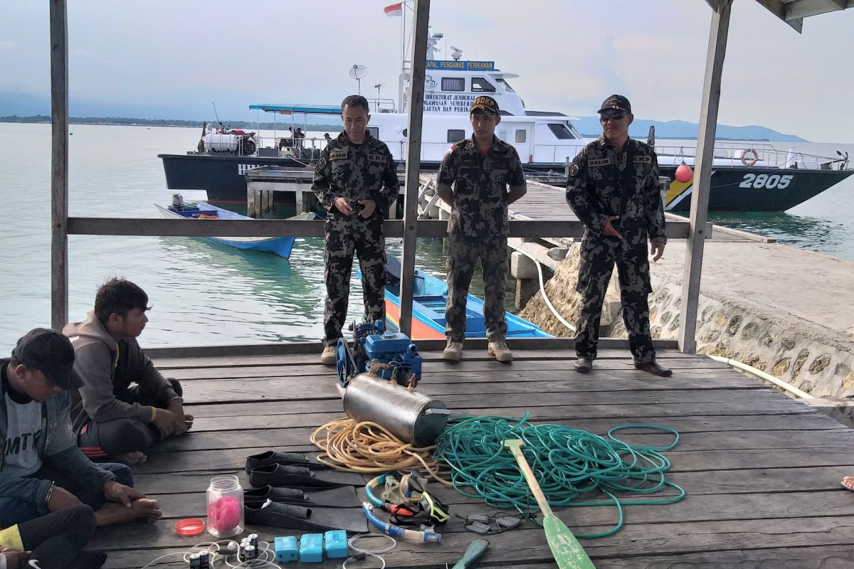 KKP ringkus tiga penangkap ikan pakai racun di perairan Morowali Sulteng