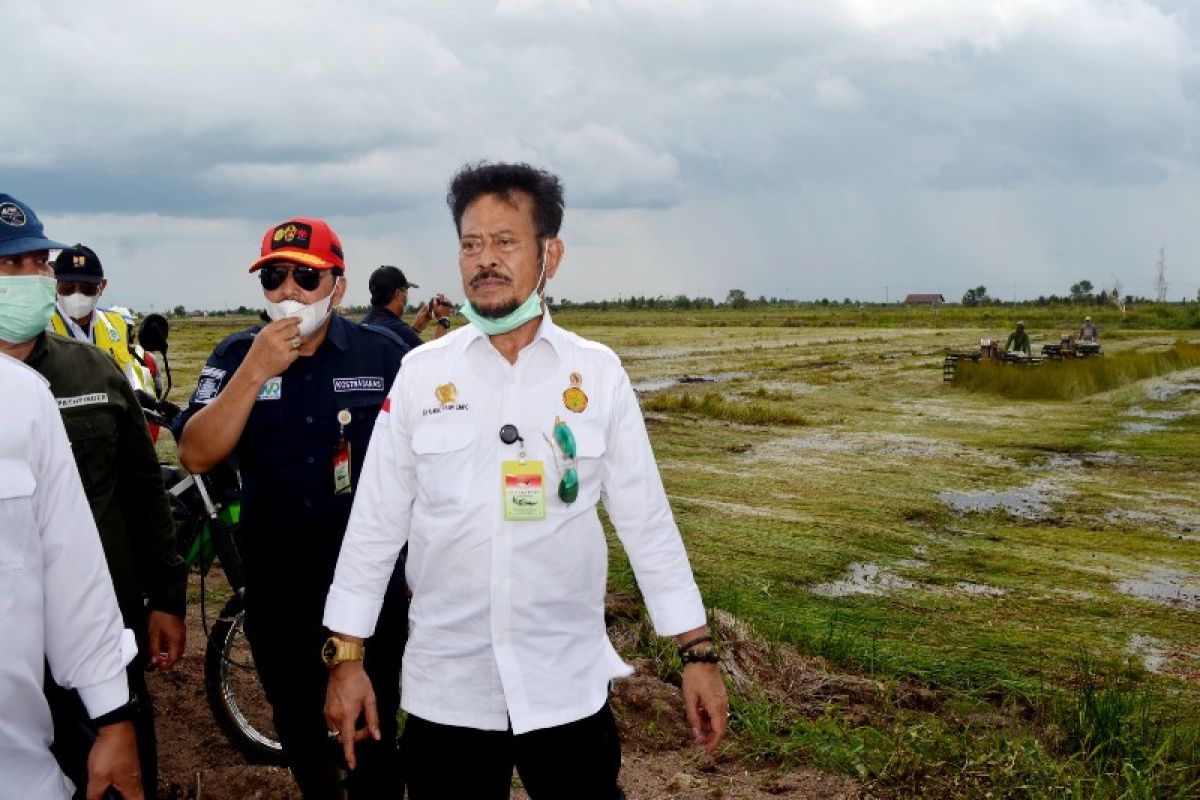 Akhir Desember pengolahan lahan food estate diharapkan selesai, kata Mentan RI