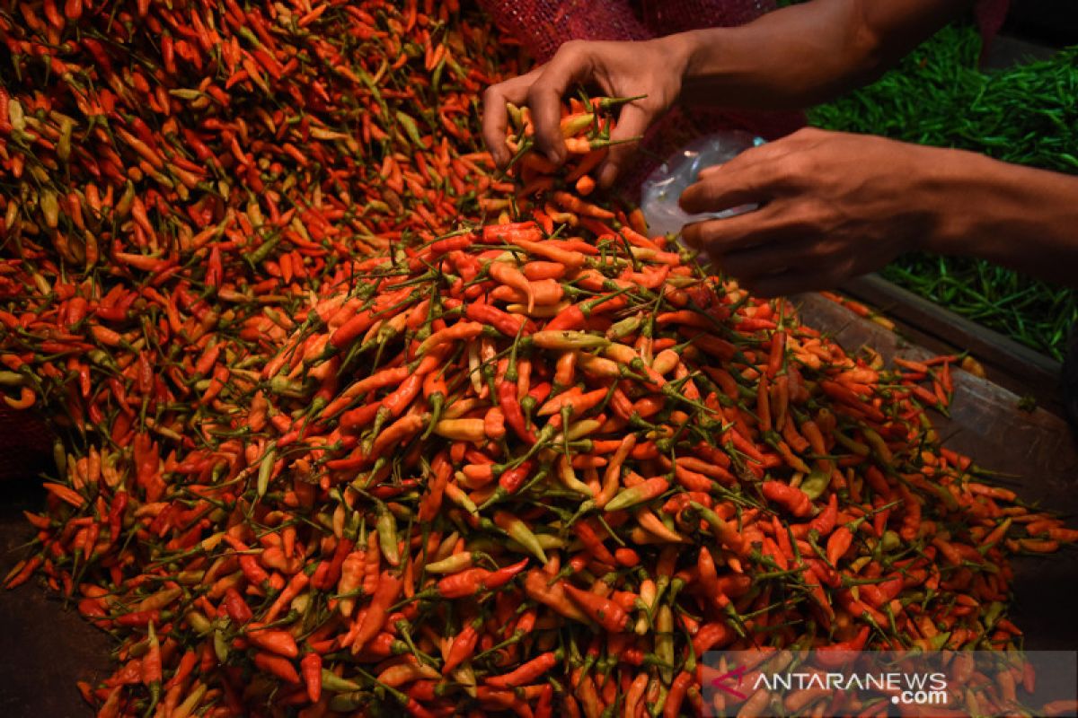 Harga cabai rawit merah tembus Rp100 ribu