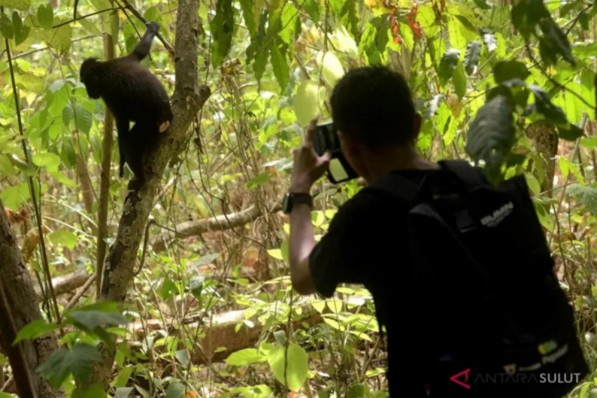 Dinas Kehutanan Sumsel siapkan tiga kawasan  ekosistem esensial