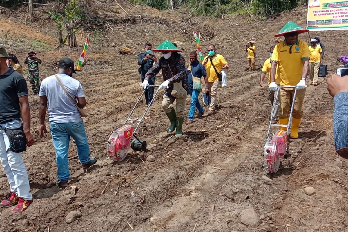 Pemkab Maybrat canangkan gerakan program menanam bantu pemulihan ekonomi