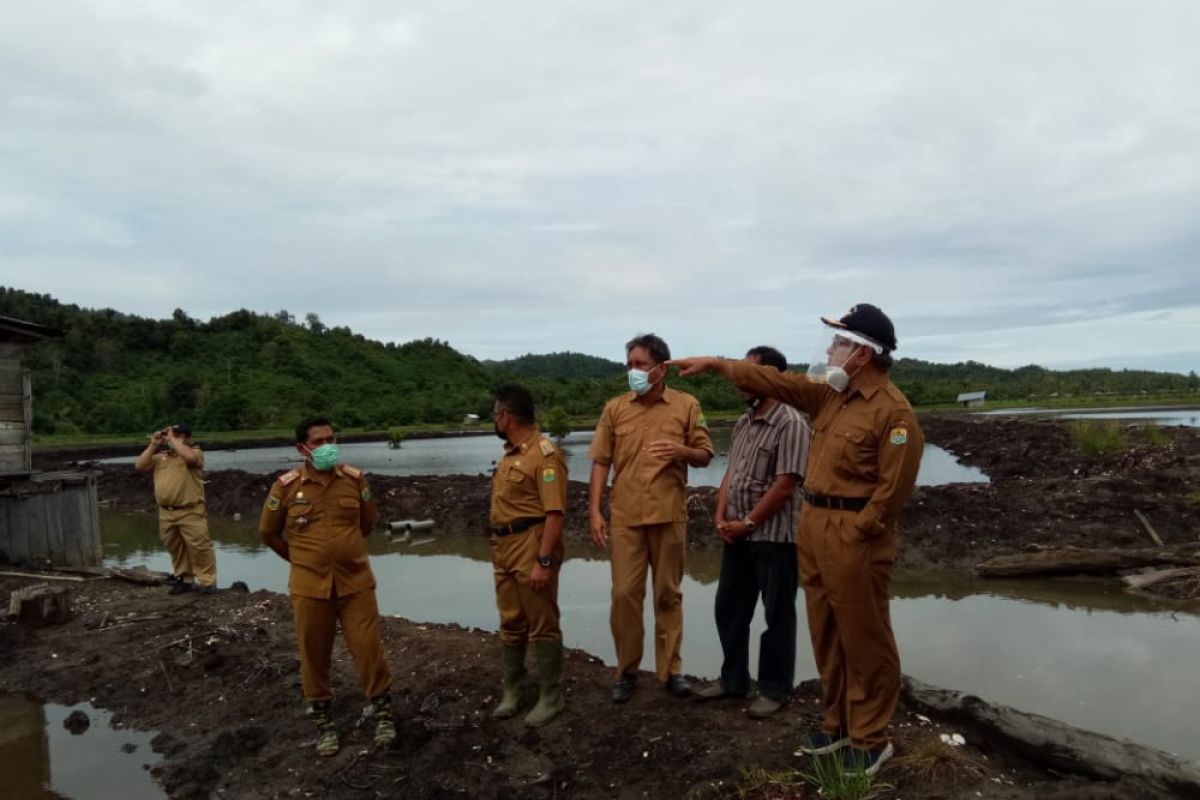 Pemkab Buol  bantu warga bangun tambak udang vaname