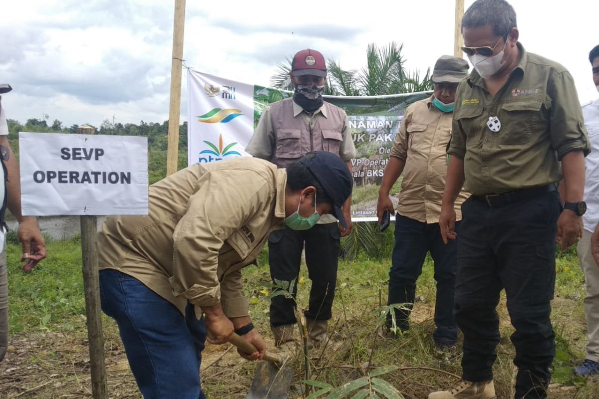 Sinergi PTPN V-BBKSDA Riau bentuk Tim Mitigasi Gajah Sumatera