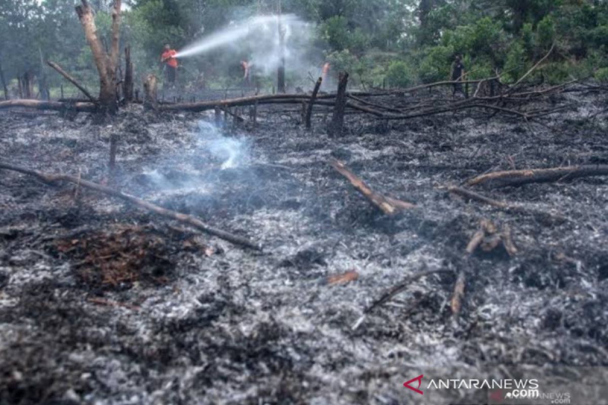 Kasus karhutla di Siak, Direktur PT DSI ditahan