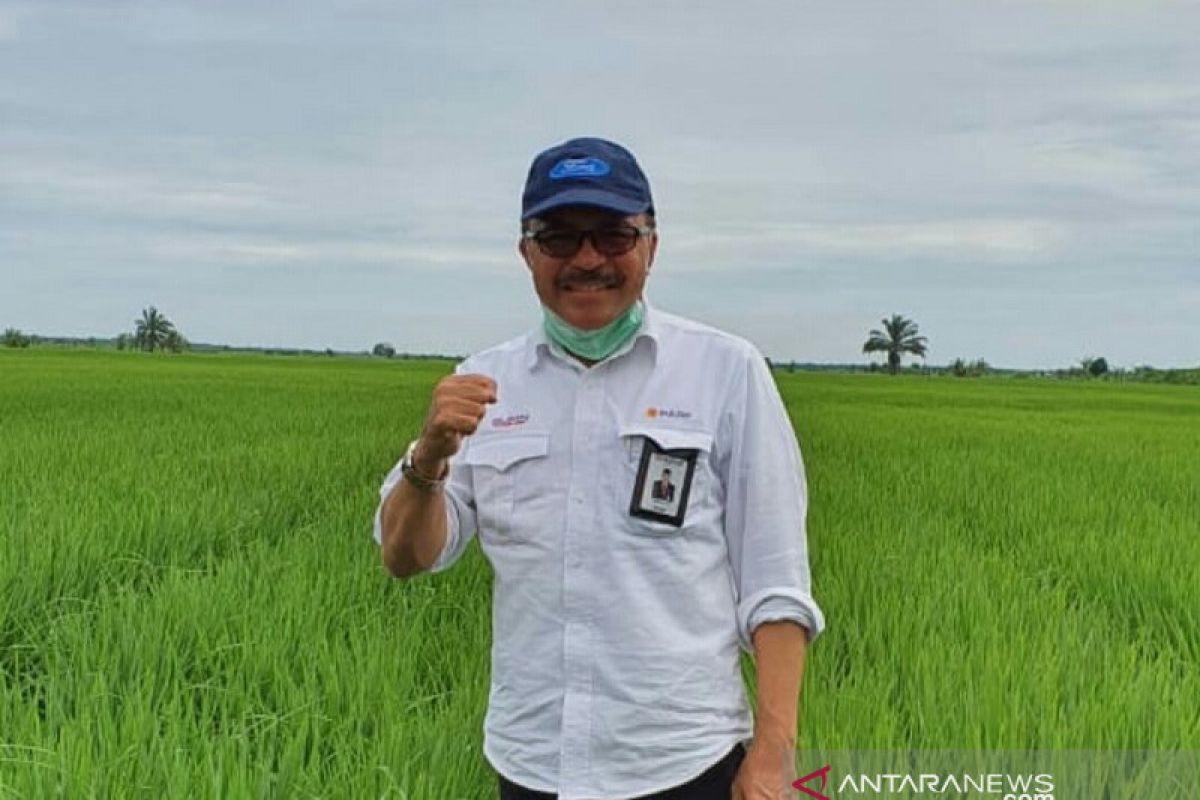 Bulog Riau Kepri serap 6.980 ton beras petani pada tahun 2020